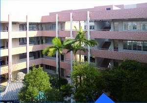 東涌鎮(zhèn)魚窩頭中學(xué)改造工程